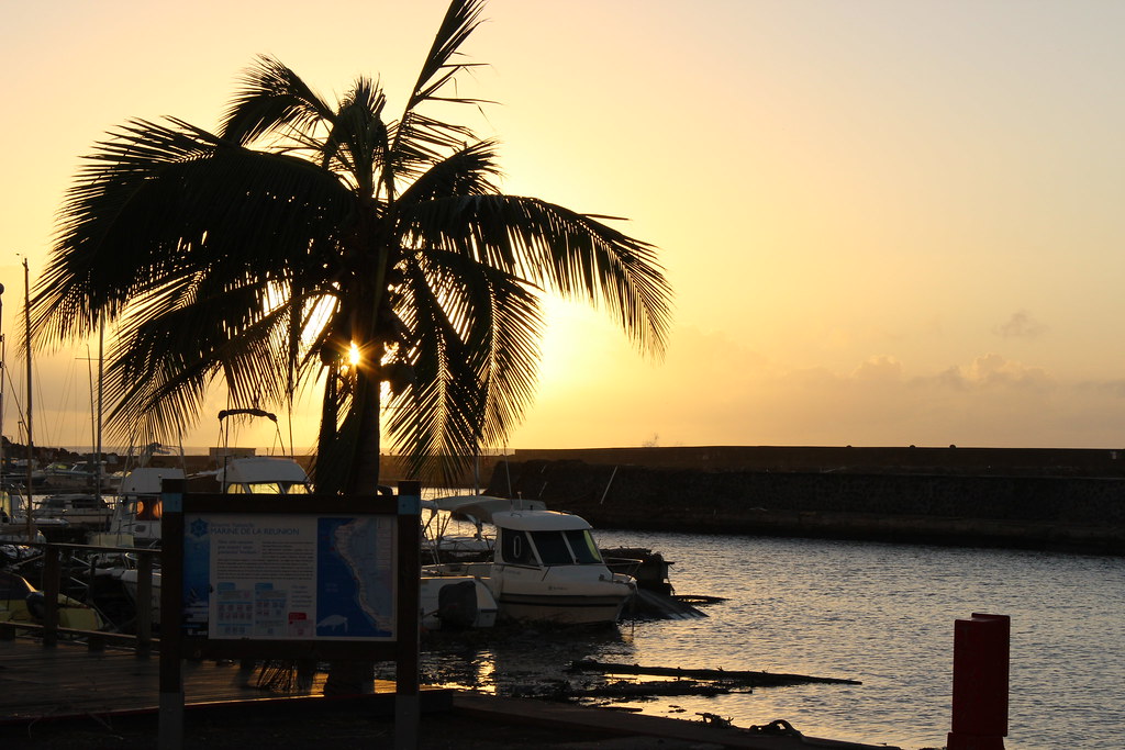 Palmier en silhouette devant le port de plaisance de Saint-Gilles-les-Bains au coucher de soleil, La Réunion